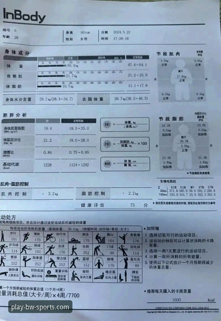 宝威体育app最新版 宝威体育平台深度评测:新手从零开始的完整使用体验报告